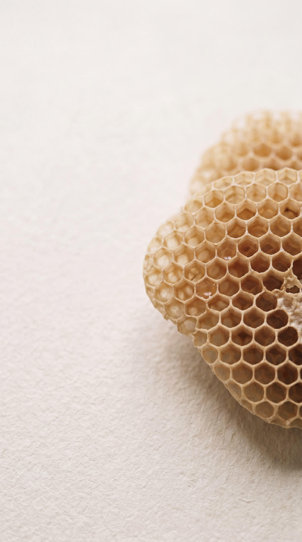 Raw honeycomb dripping with honey